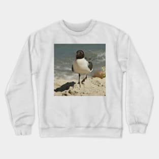 Beautiful photograph of a seagull Crewneck Sweatshirt